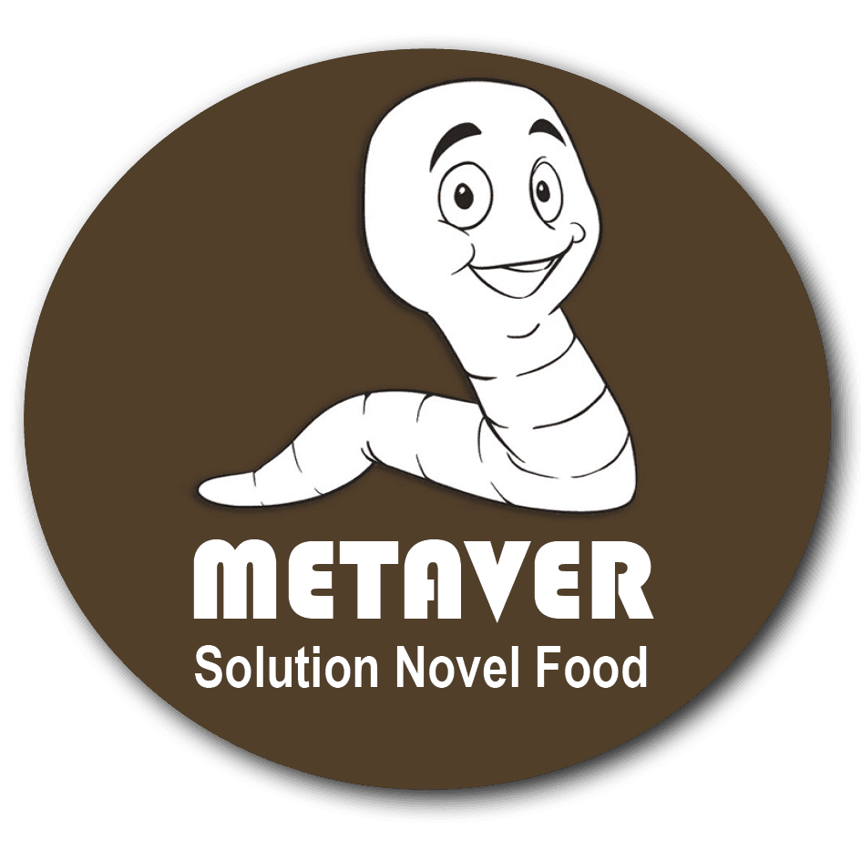 Logo METAVER