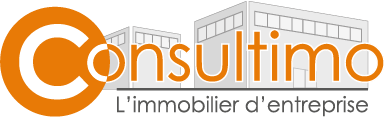 Logo CONSULTIMO