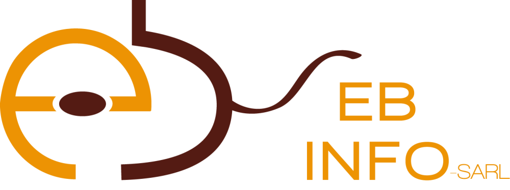 Logo EBINFO