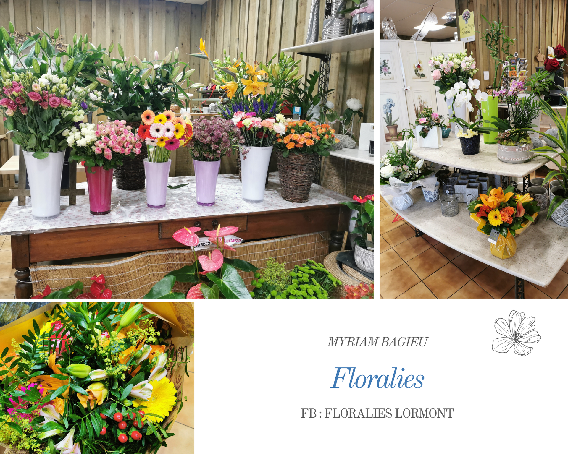Photo Myriam Bagieu : la passion des fleurs