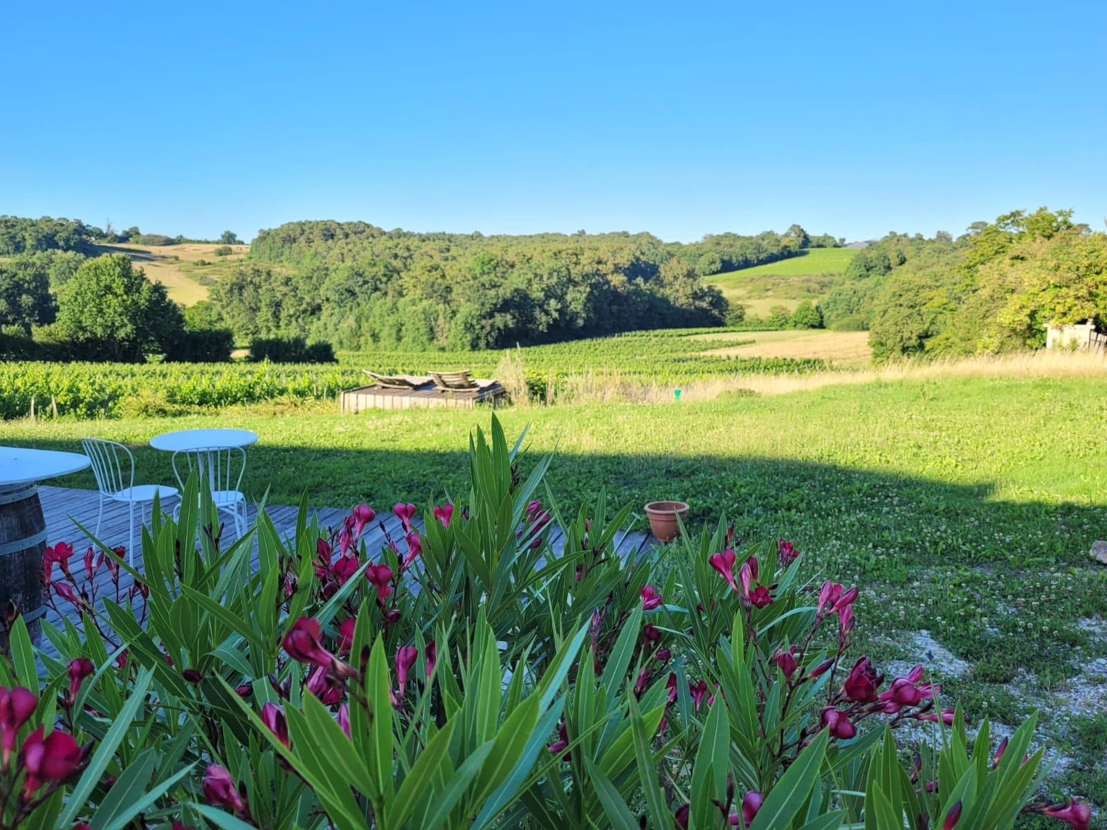 Photo Soirée Afterwork : au Château Croignon